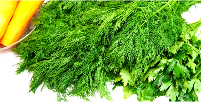 Простая заготовка на зиму: укроп для супа из овощей