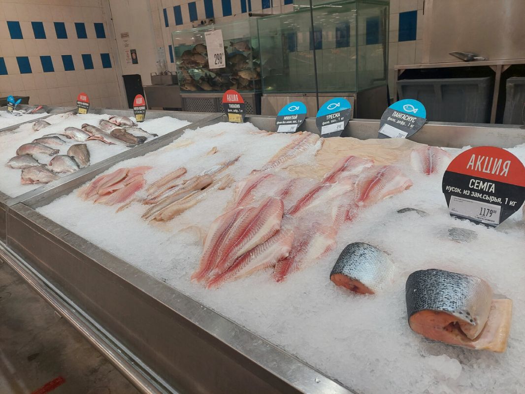 ��� ������� ������ ����: �������� ������ ��� �����������