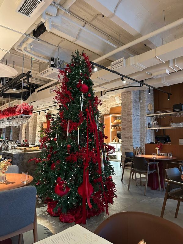 Ava Bistro: ��������� ����� � ����� ���������