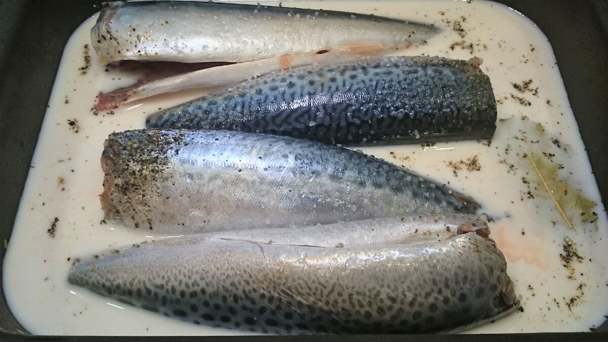 ���������� ���������� ���� ������������ ������ ���������� � ��������� ��������