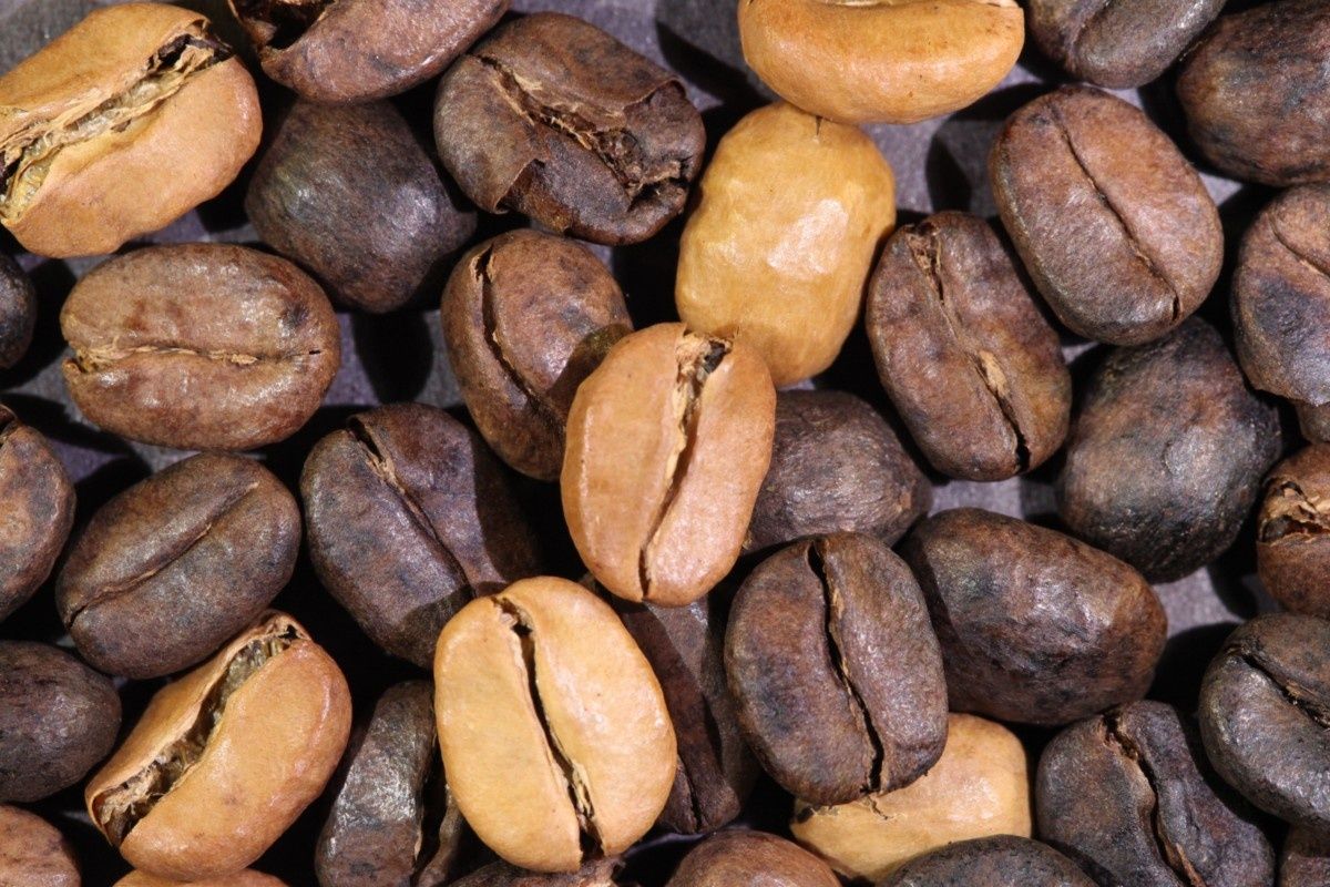 ��� ���� ������� ����� ��������� ��������� ����