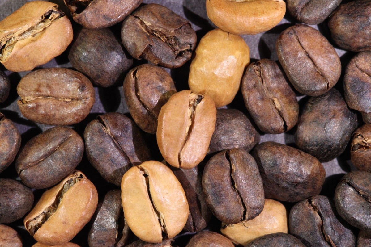 Как одно зёрнышко может испортить идеальный кофе