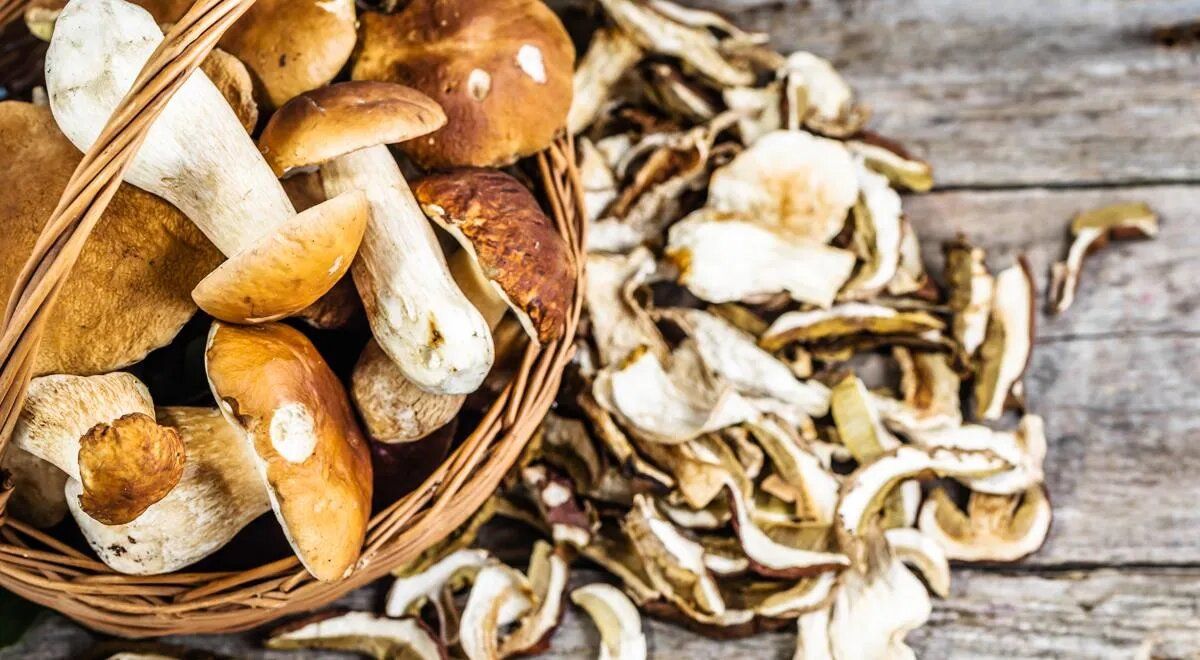 ������� �����: ������� ������������ �����