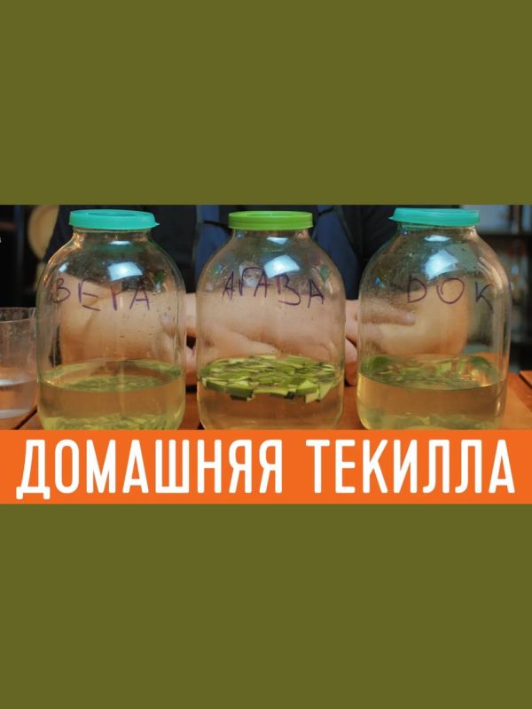 ��� ������� �������� ������: ��������� ����������� ��� �����������