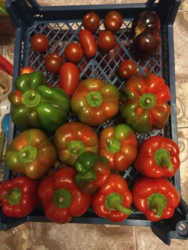 ���� �� ������: ��������� ������ �� ������