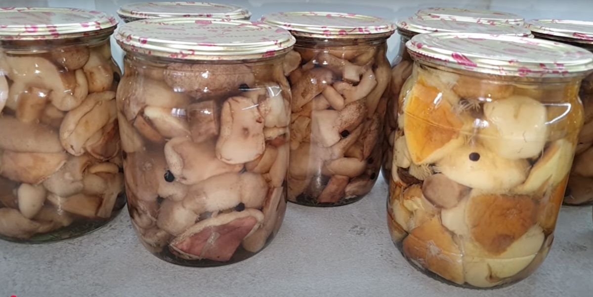 ��� ������ ������������ ������ �����: ������� ������ �� ����