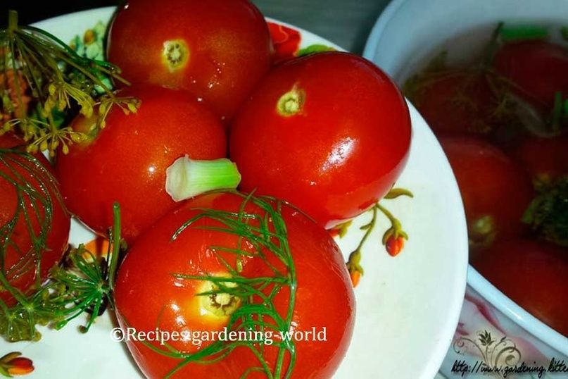 ������ ������� ���������: ������� � ������� ������ ������