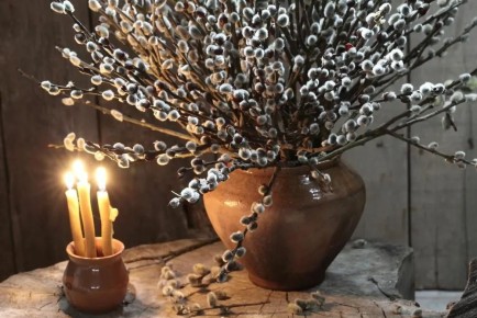 ������� �����������: �������� � ������� ��� ��������� ���������