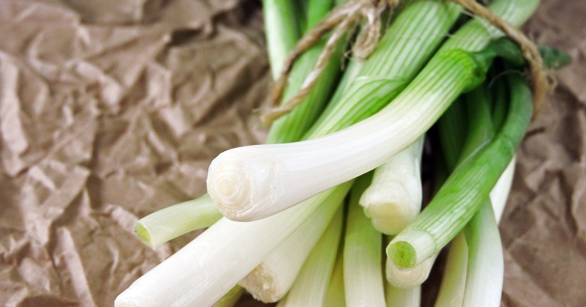 ��� ��������� ������� ��� ������ �� ���� �������