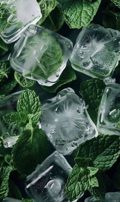 ����� ���: �������� �������� � ���������� ������� ��� ����