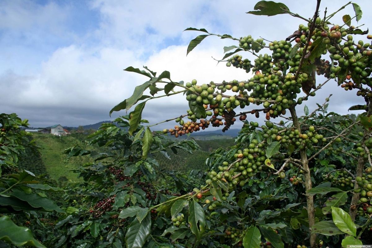 ���� ���� � ���������: ���� �� $100, �� ������� �������������� �������� ��������