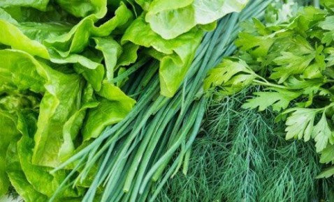 Как сохранить зелень свежей: простые и эффективные методы