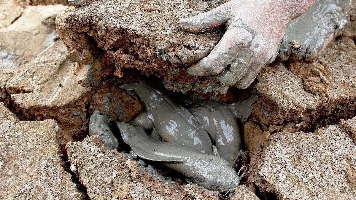 ������� � �������: ��� � ������ ���������� ����� ���� �� ��� �����