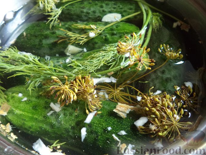 ����������� ������: ���������� �������� �� ����� �����