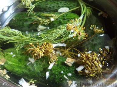 Малосольные огурцы: освежающие традиции на вашем столе