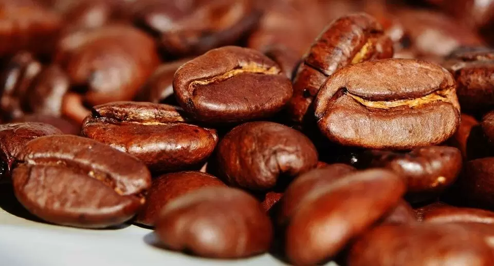 Кофе не вреден для давления: кардиолог разоблачает мифы о кофеине