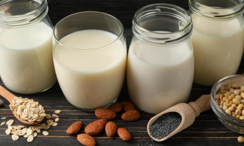 Растительное молоко: правда или миф? Лабораторный анализ популярных напитков