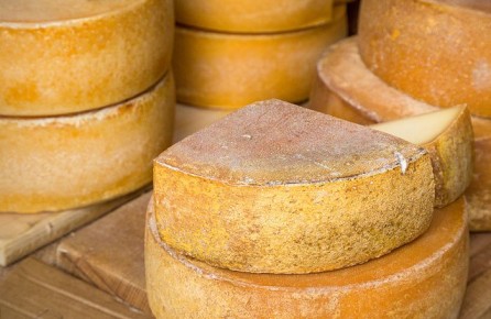 Россия на экспорт: сыр и творог становятся все более востребованными за границей