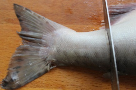 ������� ����� �� �������: ������, ������ � �������������� �������