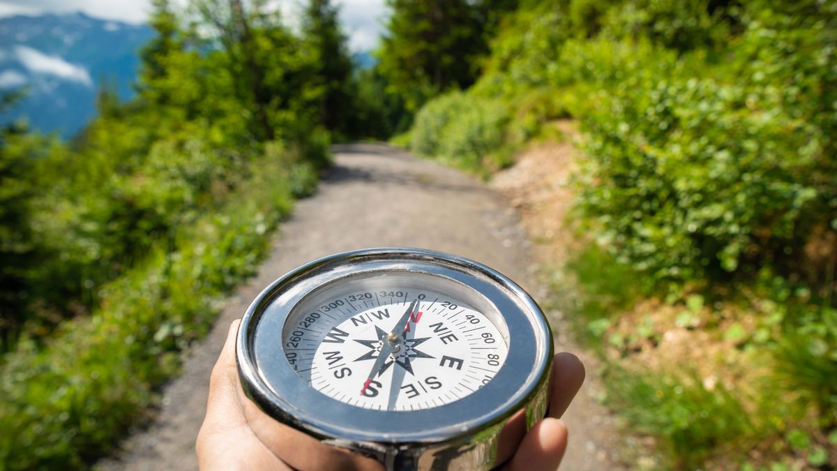 ����� ���� ����������: �� ������� �������� �� ����������� �����