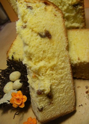 ������������ ����� �� �������� ������� � �����