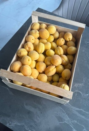 ��� ������ ������ ��������: ���� � �������