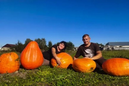 ��������� ���� �� �������