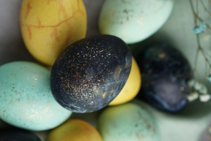 ��� �������� ���� �� �����: ������� � ����������� �������