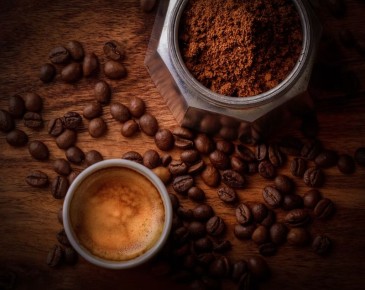 ����: ������� � �������� �������