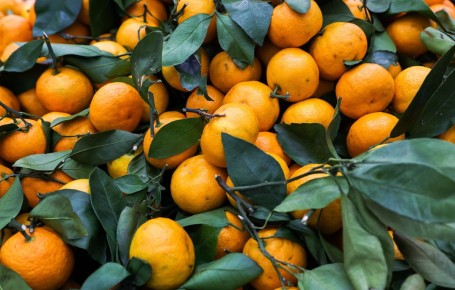 ��������� ��� ��������: ��� ��������� ���� �� ������ �����