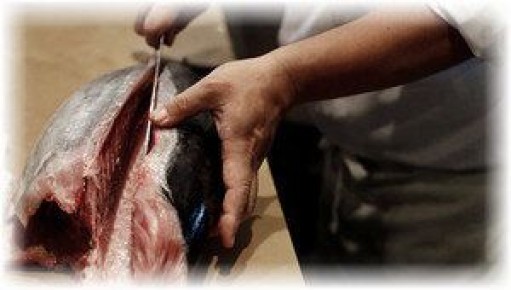 ��� ����� �������� ���� �� ����� � ���������