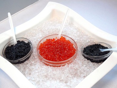 �������� ��� �� ������� ����: ��� ������� � 2026 ����?