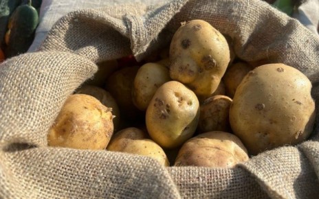 ������� ������������ ���������: ��� ����������� ������ � �������