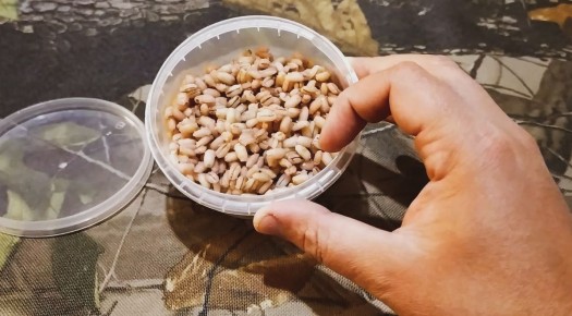 ��������: ��������� ������� ��� �������� �������