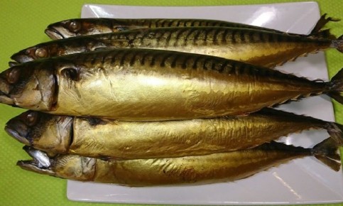 �������� ��������: ��������� � ������� ������ ����������� ��������� ����