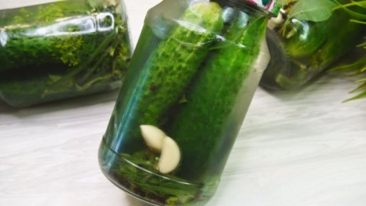 ������ �� ����: ������� ��������� �������, ������� �� ������� ������������