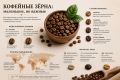 Кофе: что скрывают зёрна под завесой вкуса?