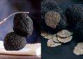 Трюфель: секрет роскошной кожи в современном уходе