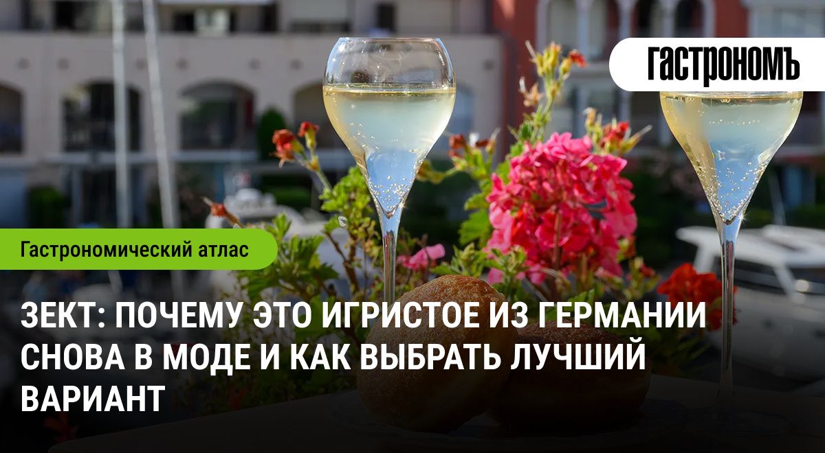 Зект: почему игристое вино из Германии вновь на пике популярности